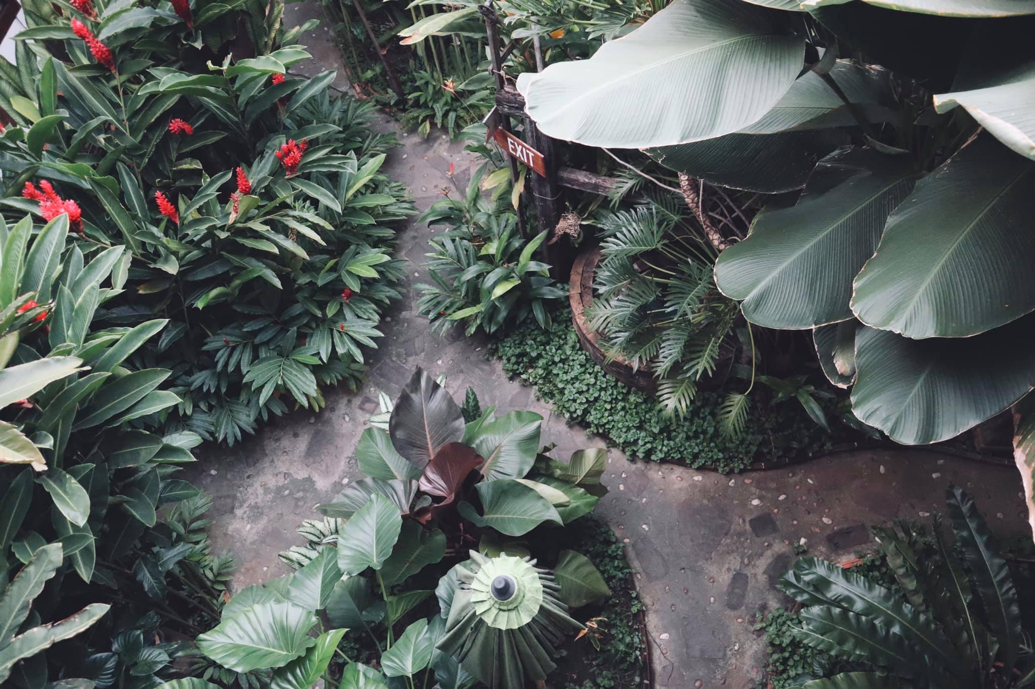 Shewe Wana Suite Resort Chiang Mai Esterno foto