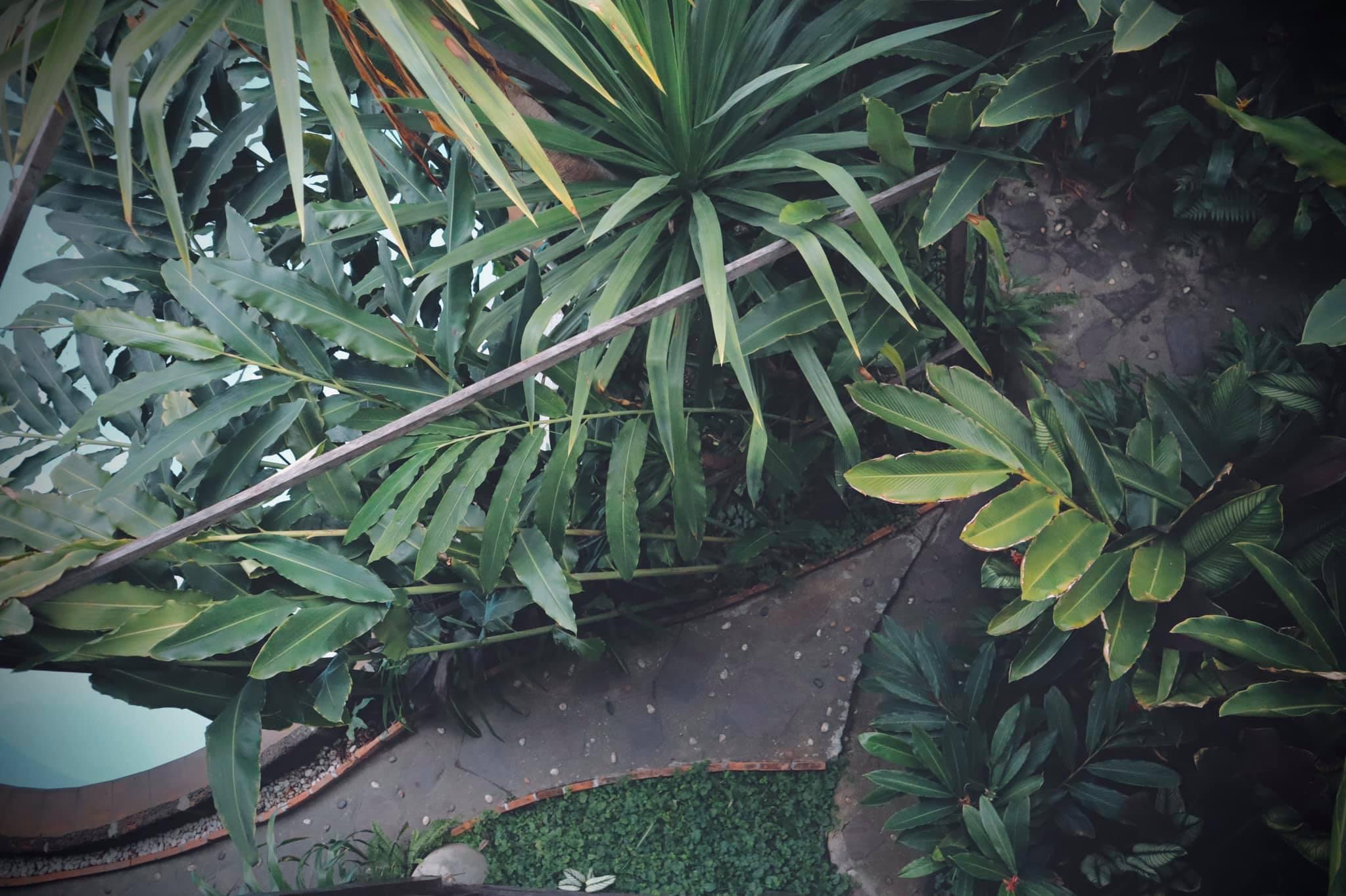 Shewe Wana Suite Resort Chiang Mai Esterno foto